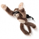 Летающая обезьянка
